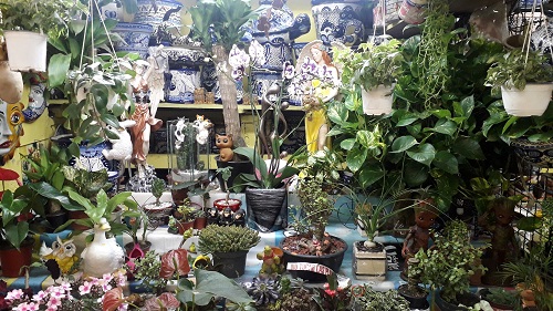 Mercado Martínez de la torre-La Flor de Nico