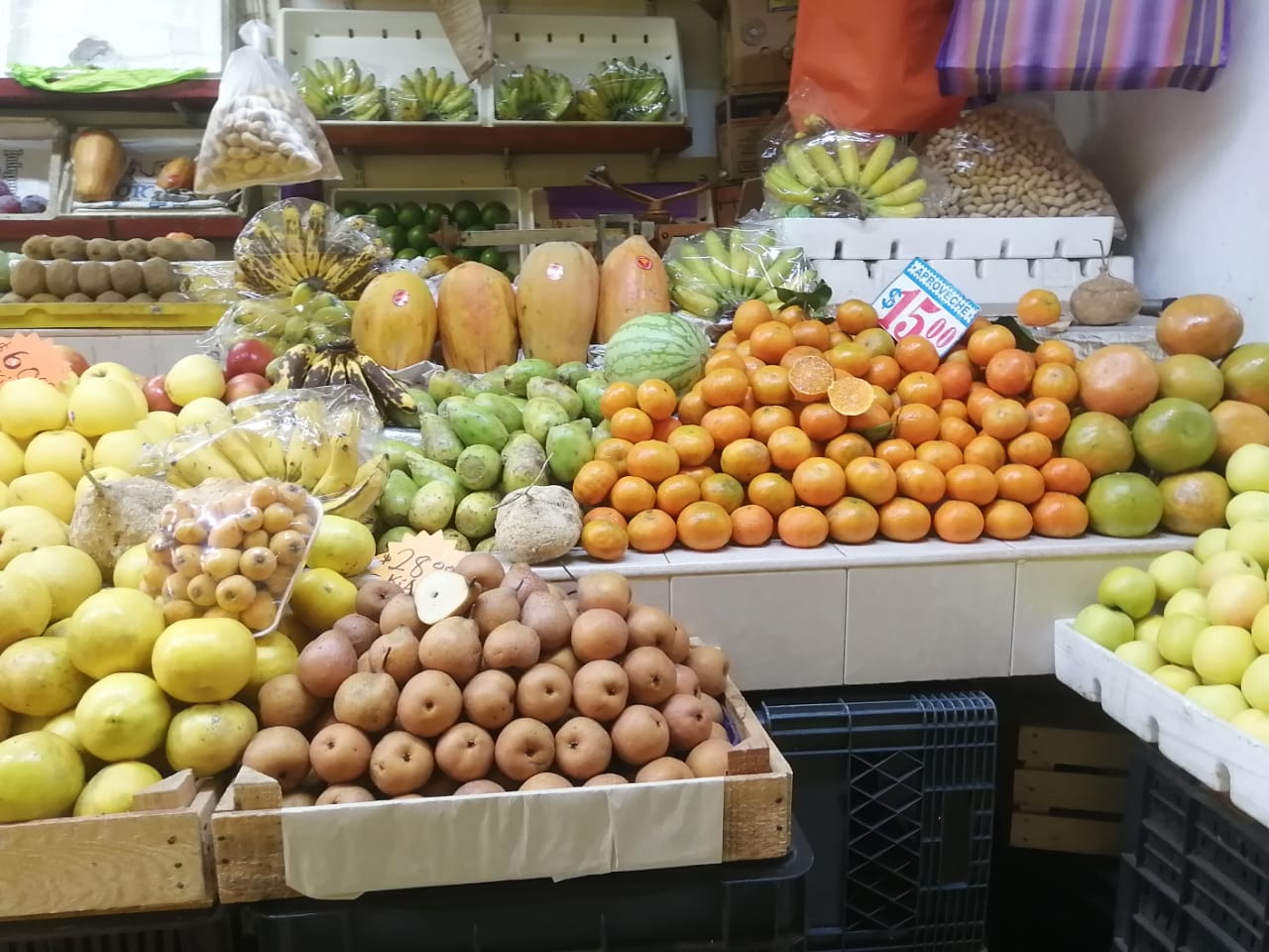 Arcos de Belen - Frutas 135