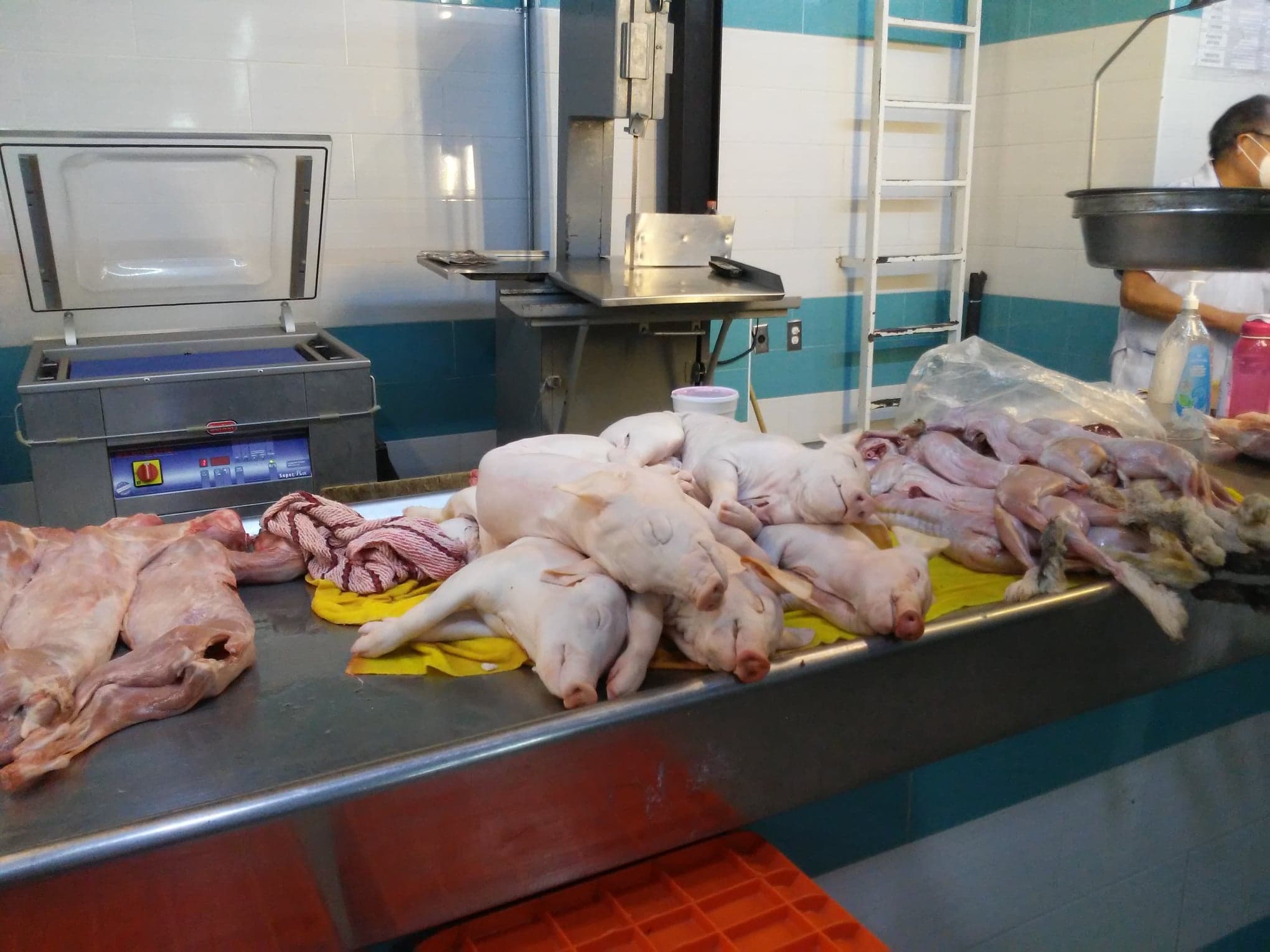 Mercado Pugibet - El pastorcito