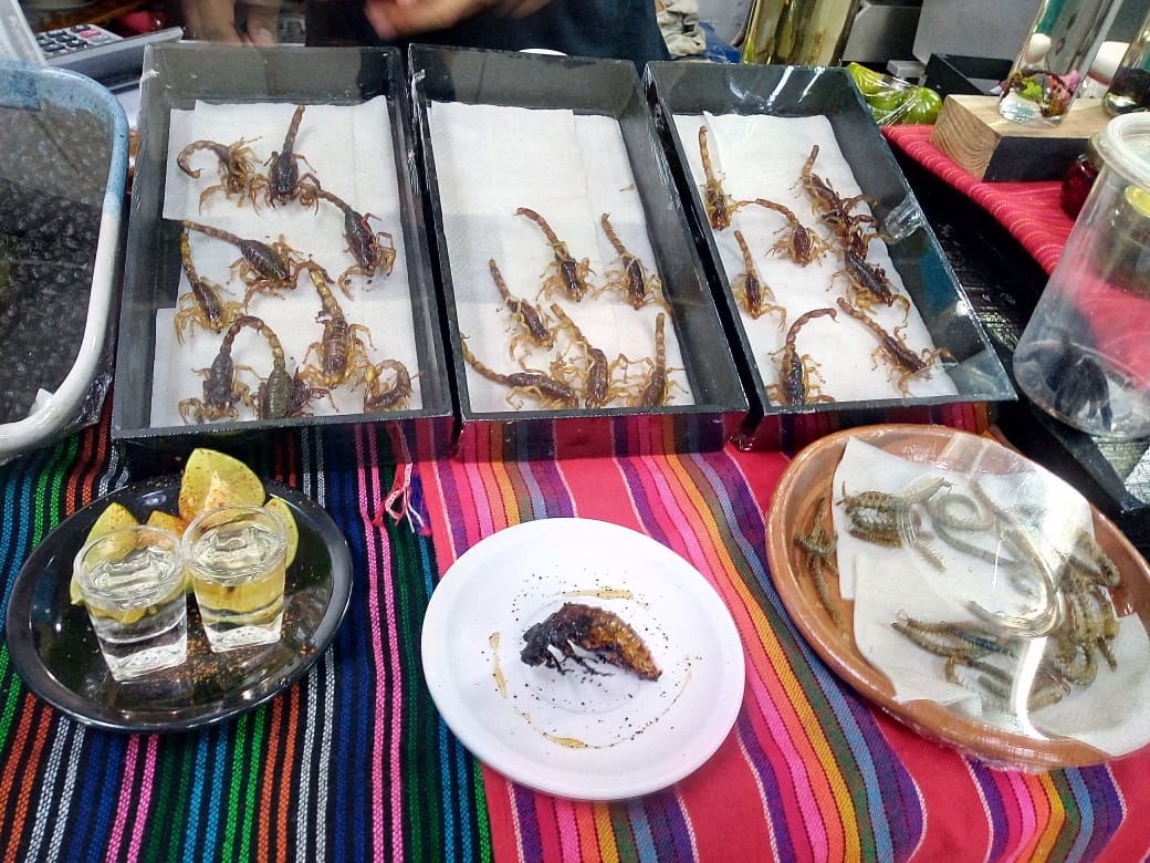 Mercado Pugibet - Distribuidora Tsebaoth