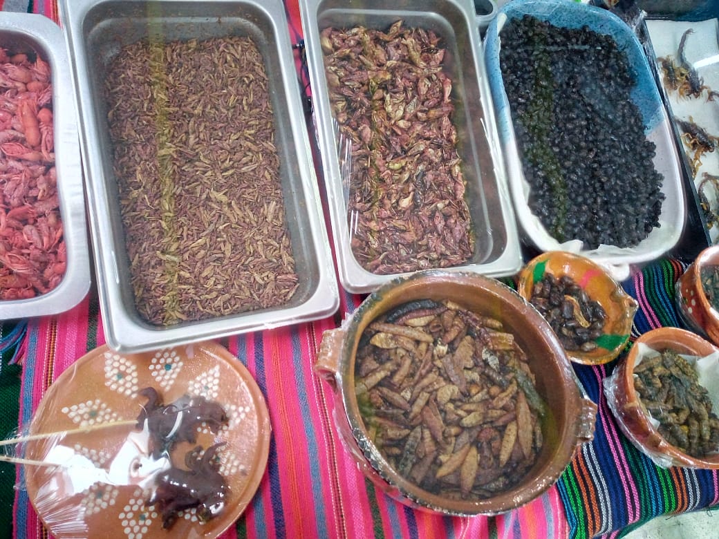 Mercado Pugibet - Distribuidora Tsebaoth