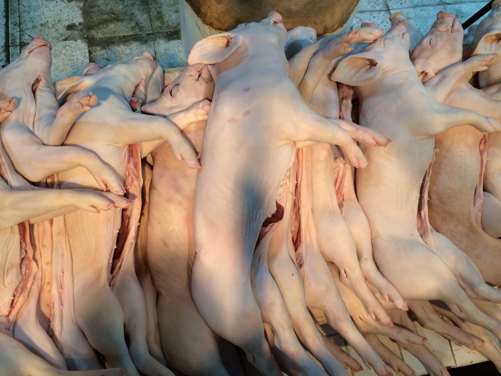 Mercado Pugibet -  El Gran Capricho